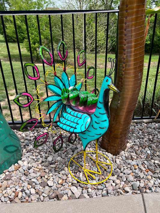 Multi-Color Peacock Spinner