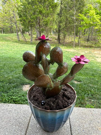 2pc Prickly Pear Cacti Set