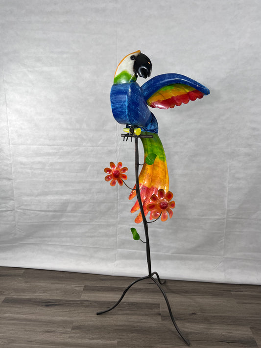 Macaw & Stand