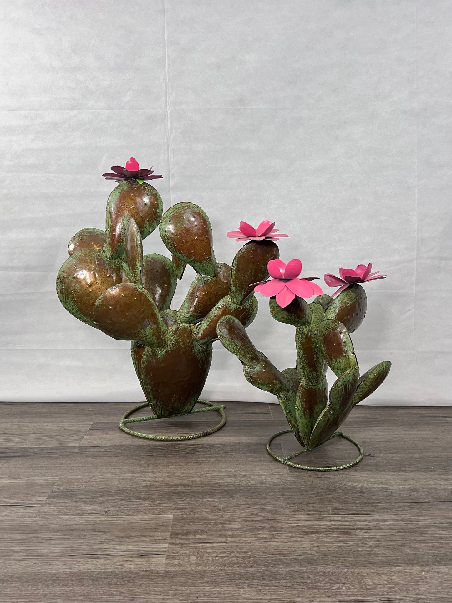 2pc Prickly Pear Cacti Set